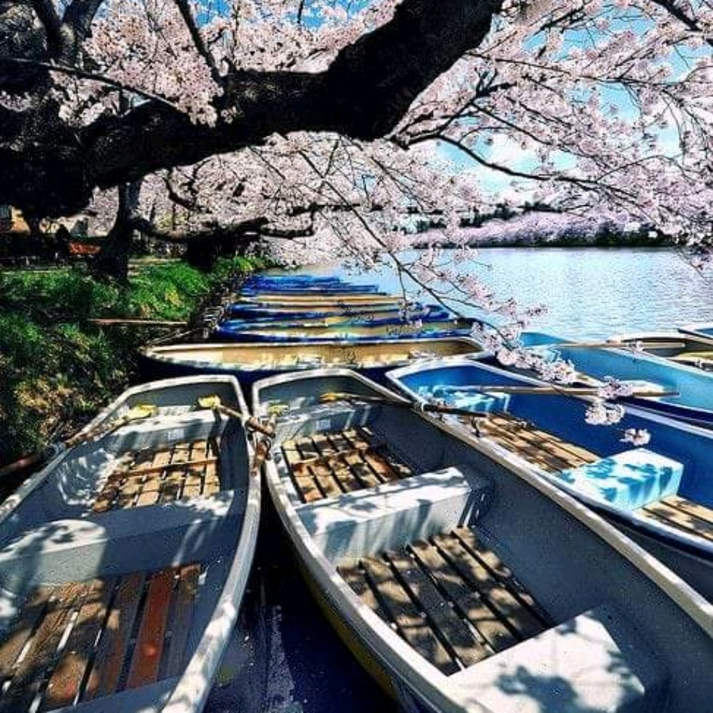 Meet your Posher, Mariah